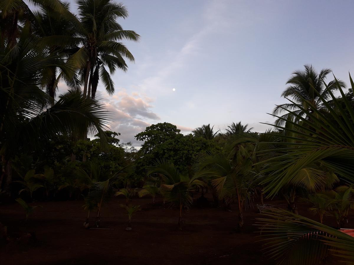 Hostal Pachamama Isla de Canas 외부 사진