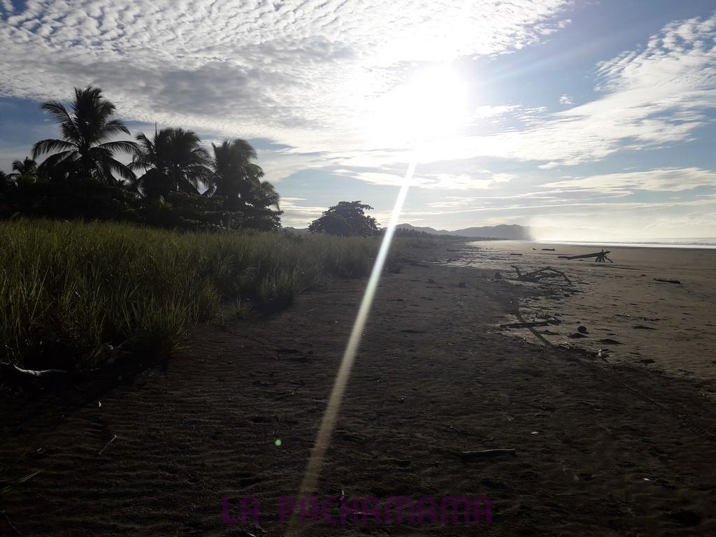Hostal Pachamama Isla de Canas 외부 사진