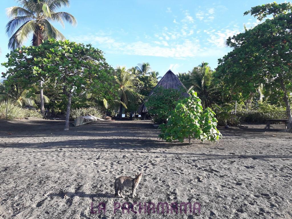Hostal Pachamama Isla de Canas 외부 사진