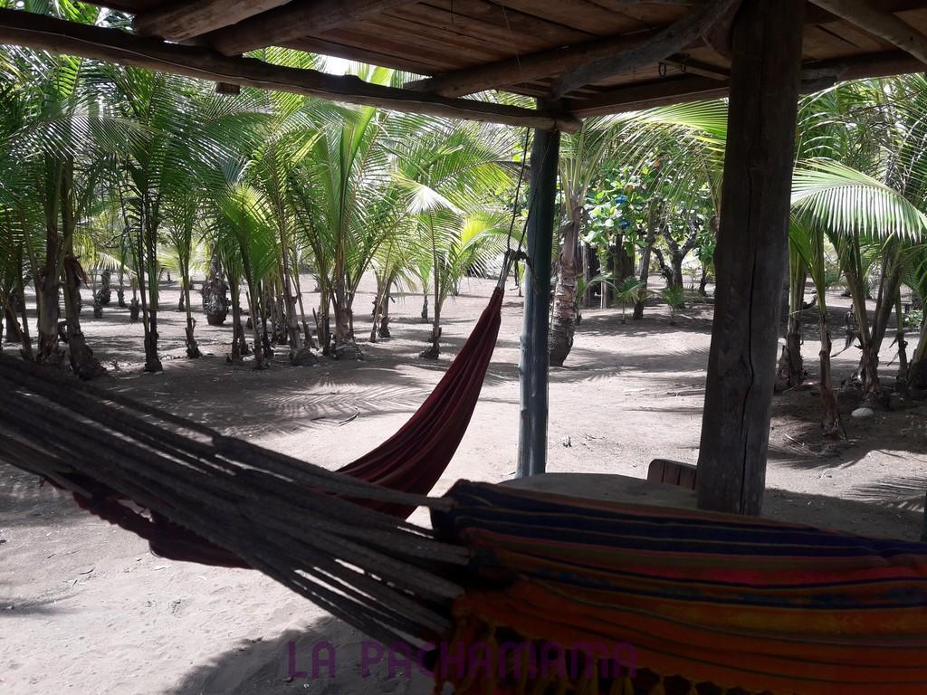 Hostal Pachamama Isla de Canas 외부 사진