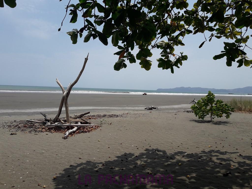 Hostal Pachamama Isla de Canas 외부 사진