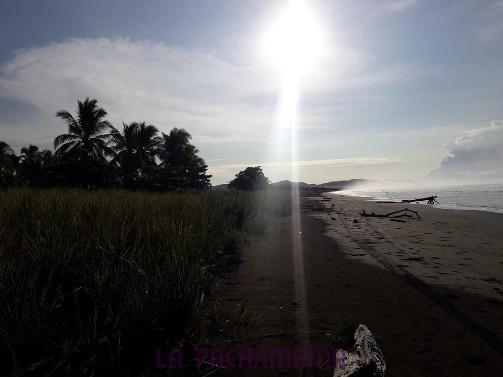 Hostal Pachamama Isla de Canas 외부 사진