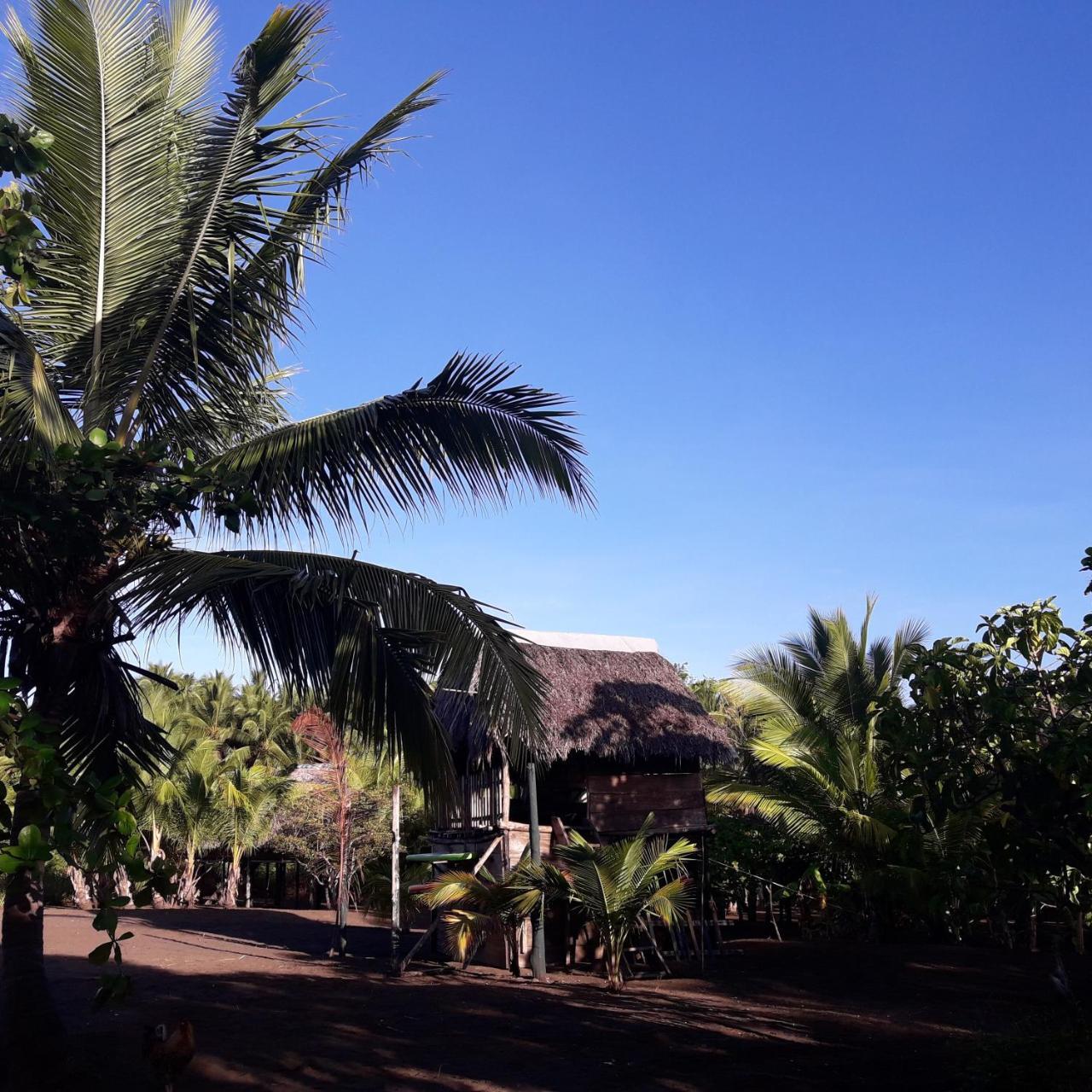 Hostal Pachamama Isla de Canas 외부 사진
